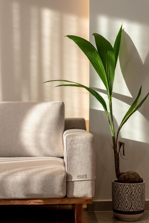 Soleado Villa Chania ハニア エクステリア 写真
